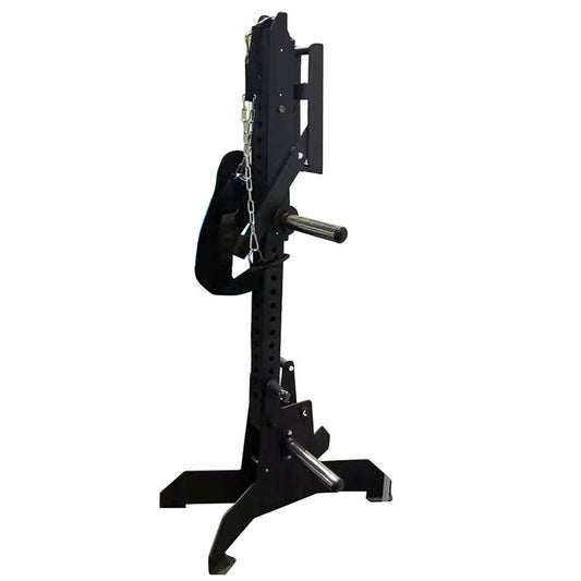 Belt Squat Machine Richiudibile Salvaspazio - La Casa dei Campioni®